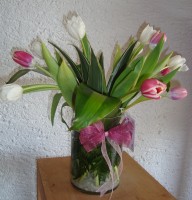 /album/fotogaleria/clave004-jpg/