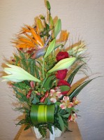 /album/fotogaleria/clave006-jpg/